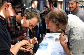 Kristin Aquilino examines a white abalone