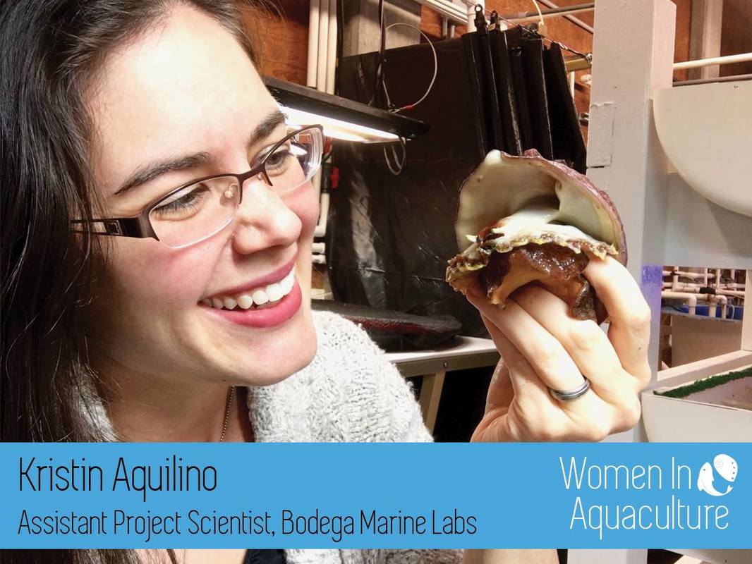Kristin Aquilino holds a white abalone at UC Davis Bodega Marine Laboratory