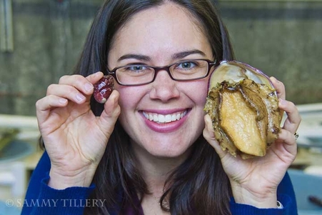 Kristin Aquilino holds captive white abalone at Bodega Marine Lab