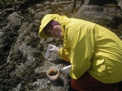 Kristin Aquilino on Bodega Marine Reserve